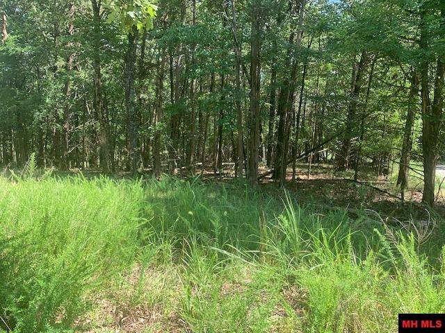 001-09509-000 Lazy Acres Road