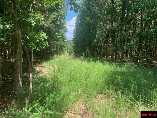 001-09509-000 Lazy Acres Road