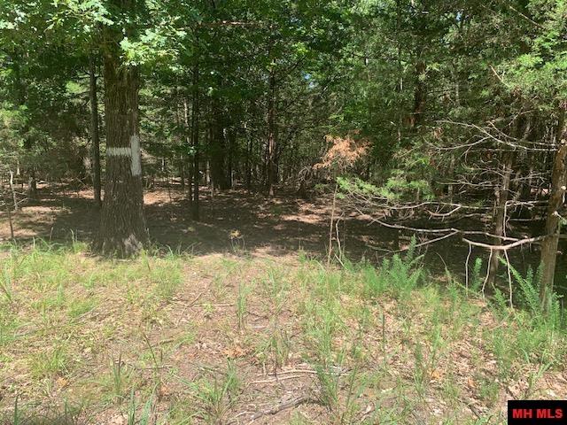 001-09509-000 Lazy Acres Road