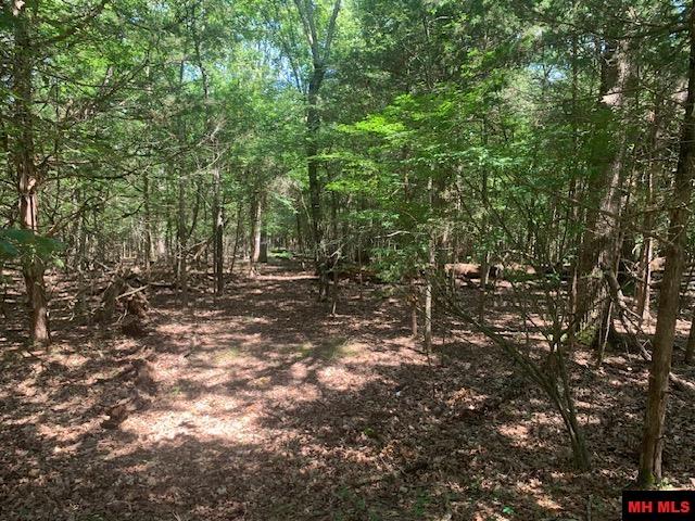 001-09509-000 Lazy Acres Road