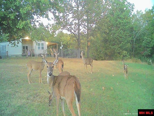 130 & 121 Ginger Lane