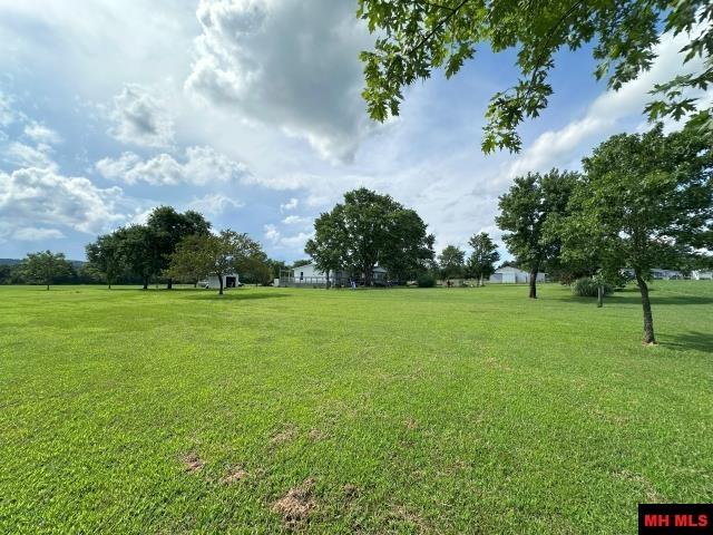 130 Wildcat Berry Lane