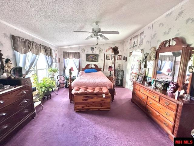 130 Wildcat Berry Lane