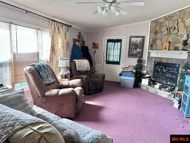 130 Wildcat Berry Lane