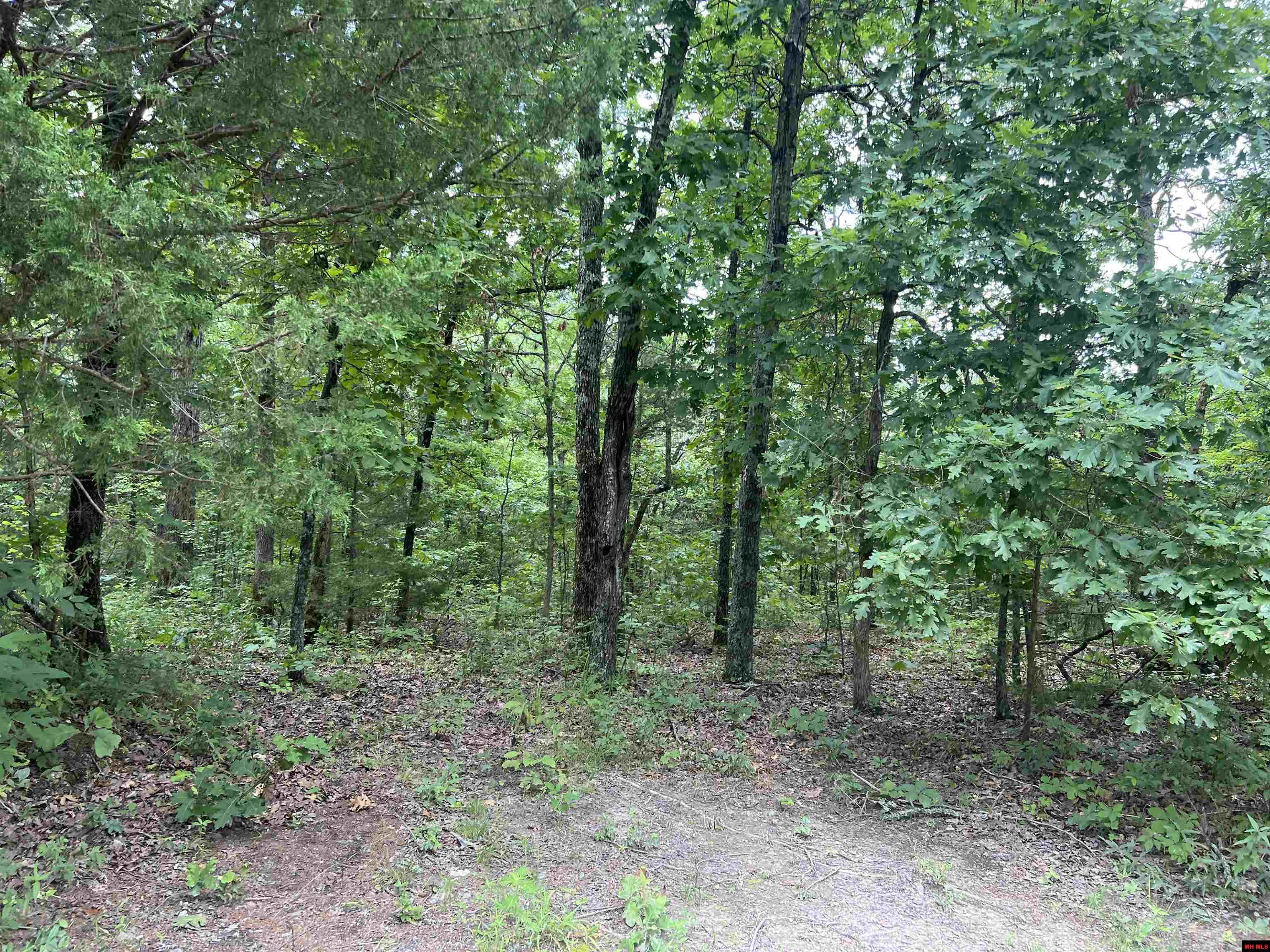 001-05139-006 Mc 3061