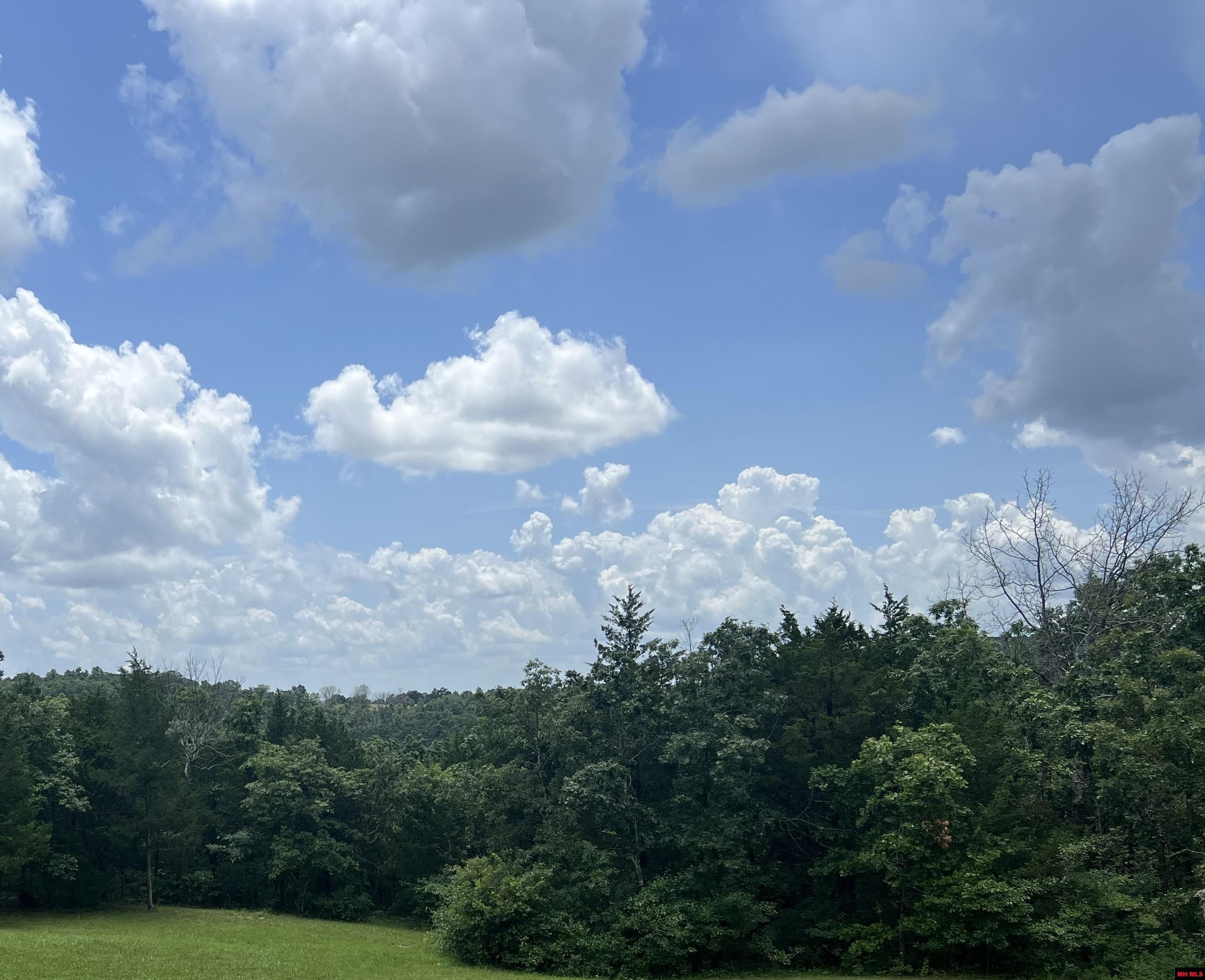 001-05139-006 Mc 3061