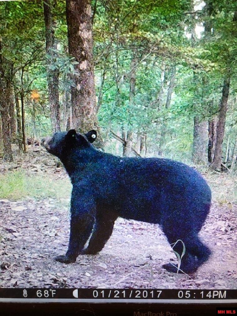 001-09744-000 Hwy 5 North