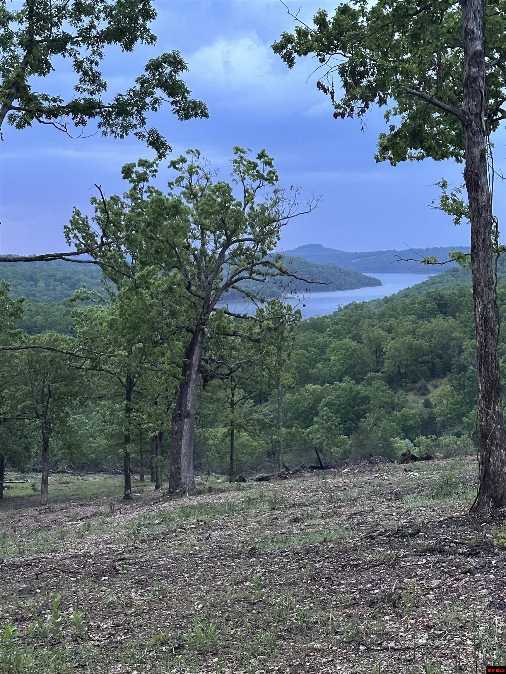 001-03317-000 Blackjack Trail