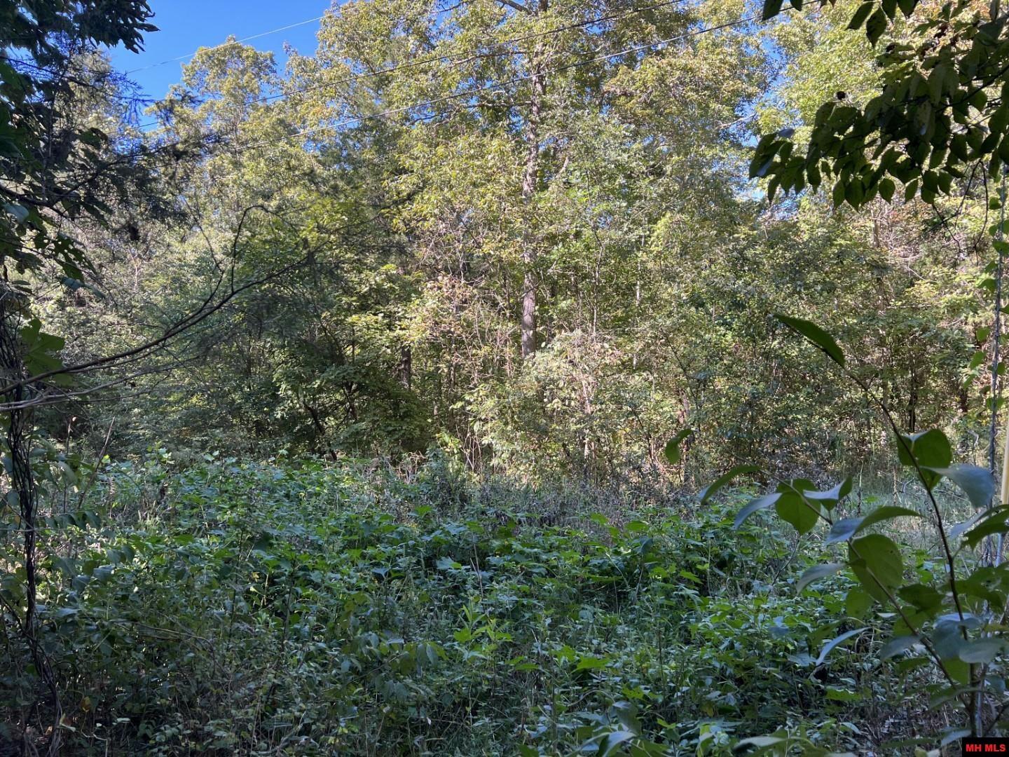 001-00472-000 Old Rush Creek Road