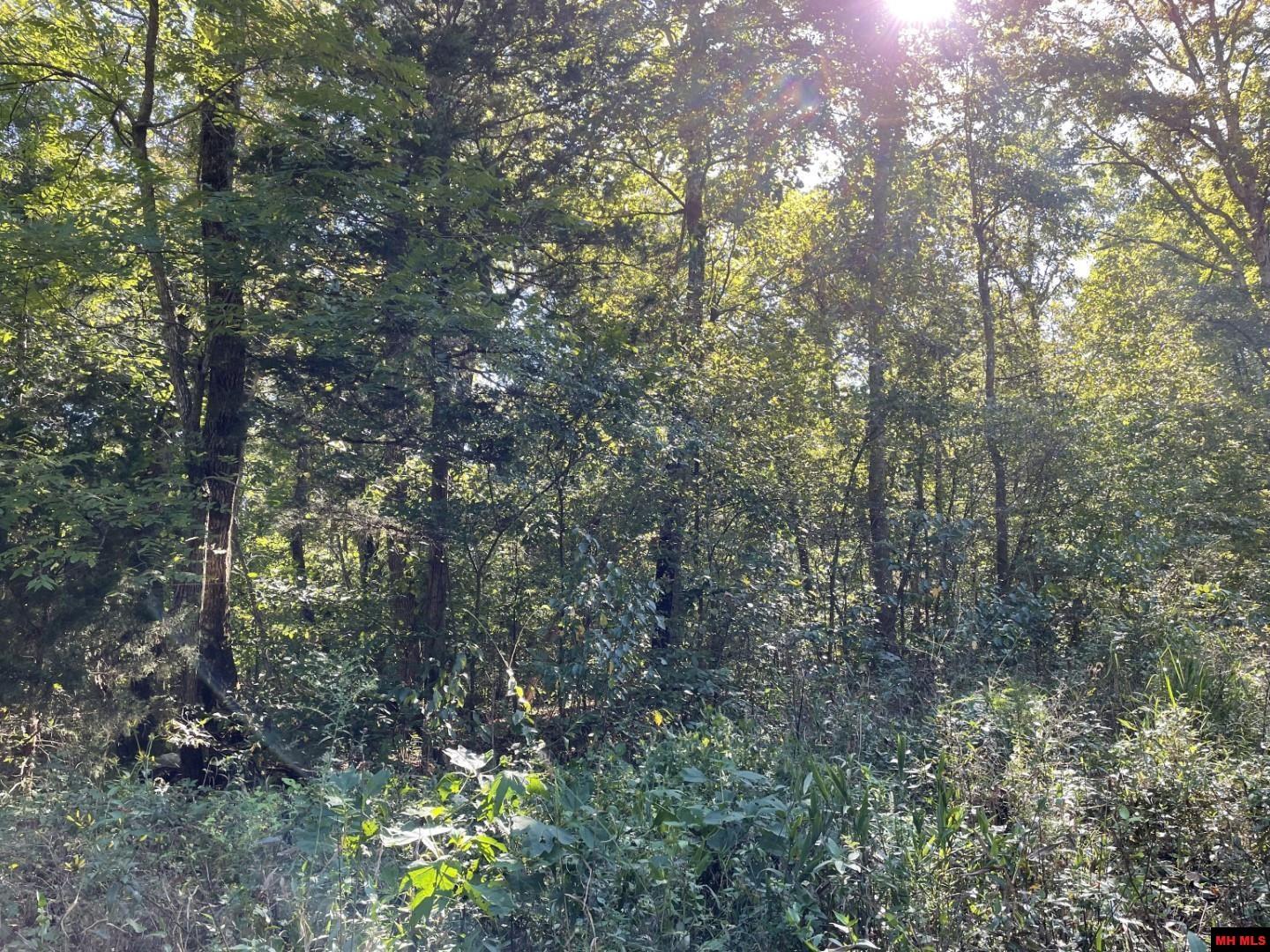 001-00472-000 Old Rush Creek Road