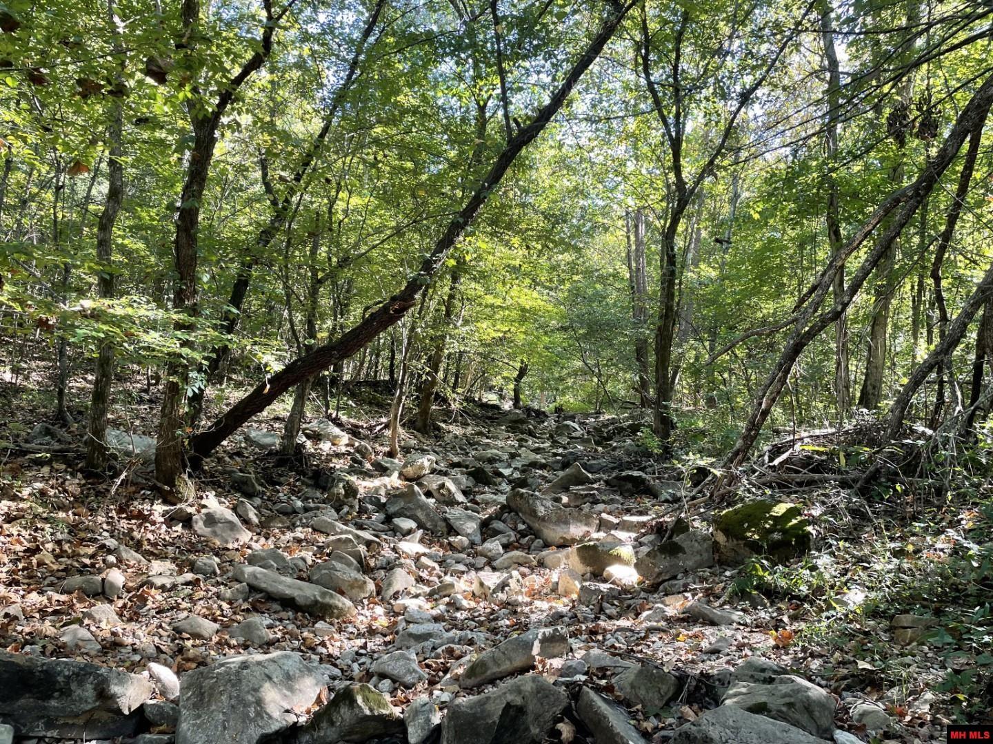 001-00472-000 Old Rush Creek Road