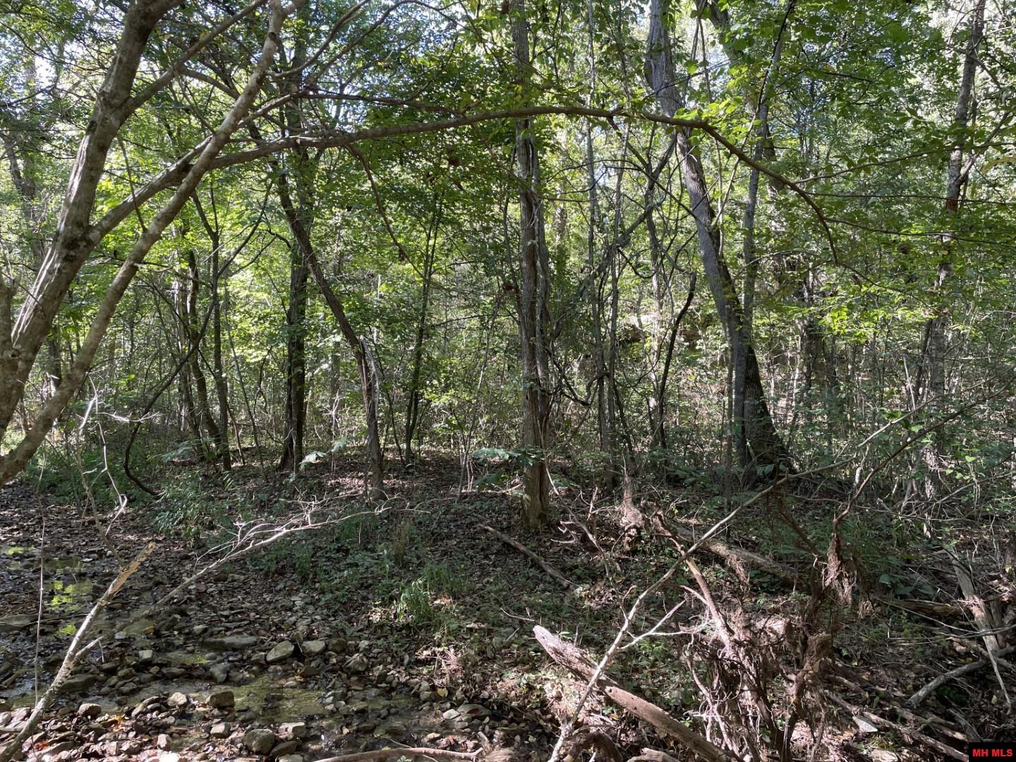 001-00472-000 Old Rush Creek Road