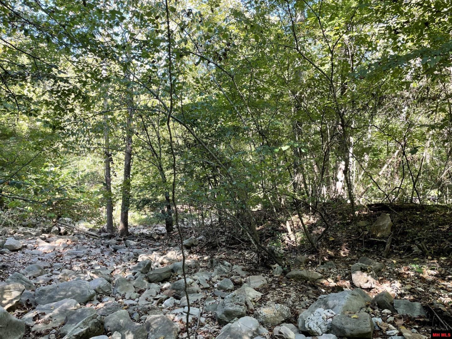 001-00472-000 Old Rush Creek Road