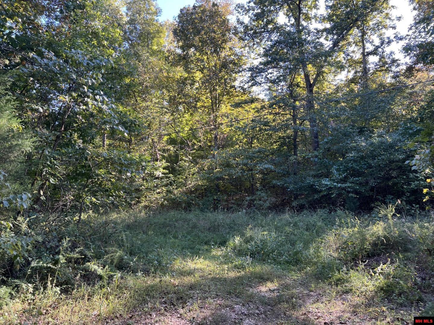 001-00472-000 Old Rush Creek Road