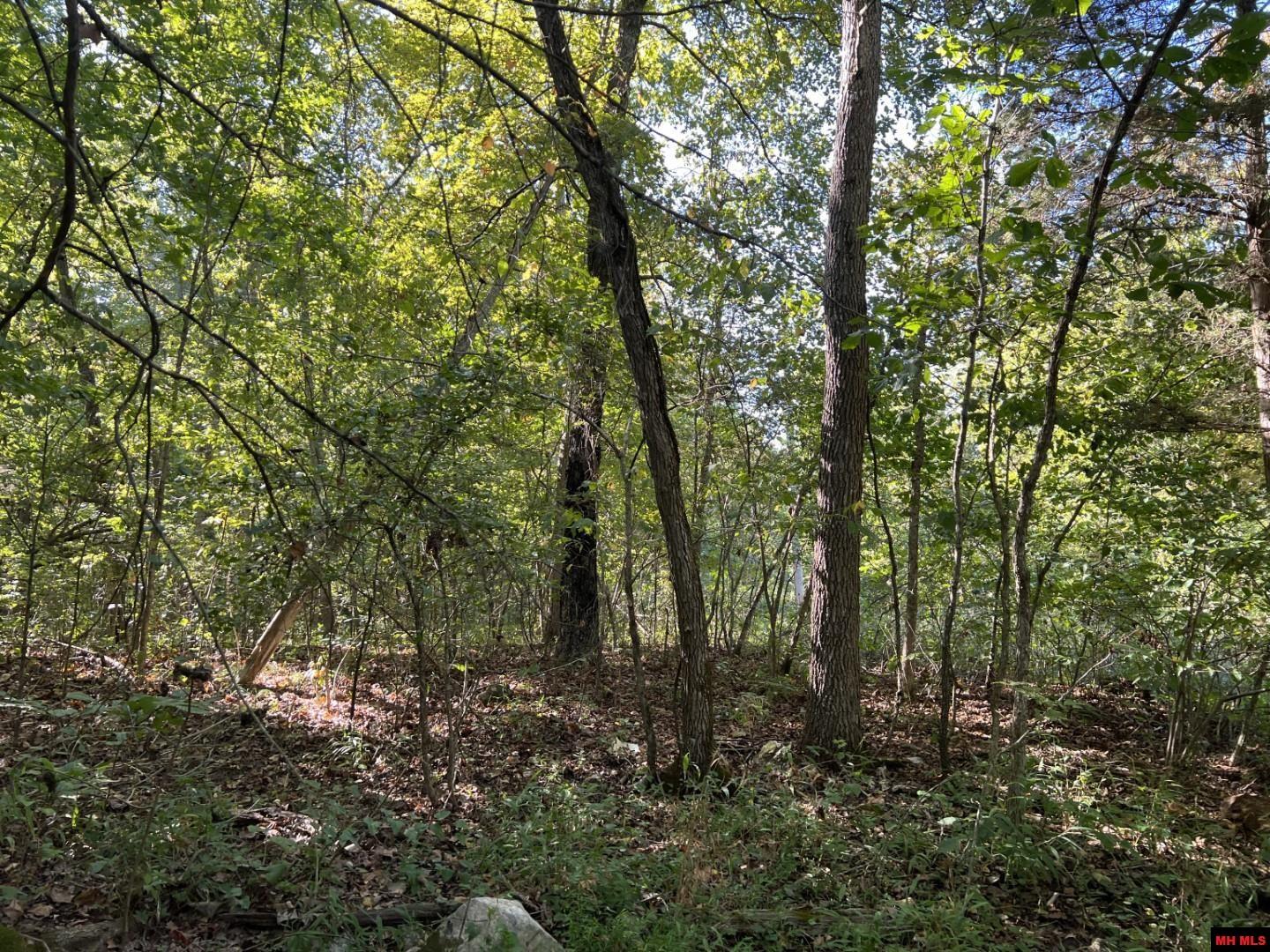 001-00472-000 Old Rush Creek Road