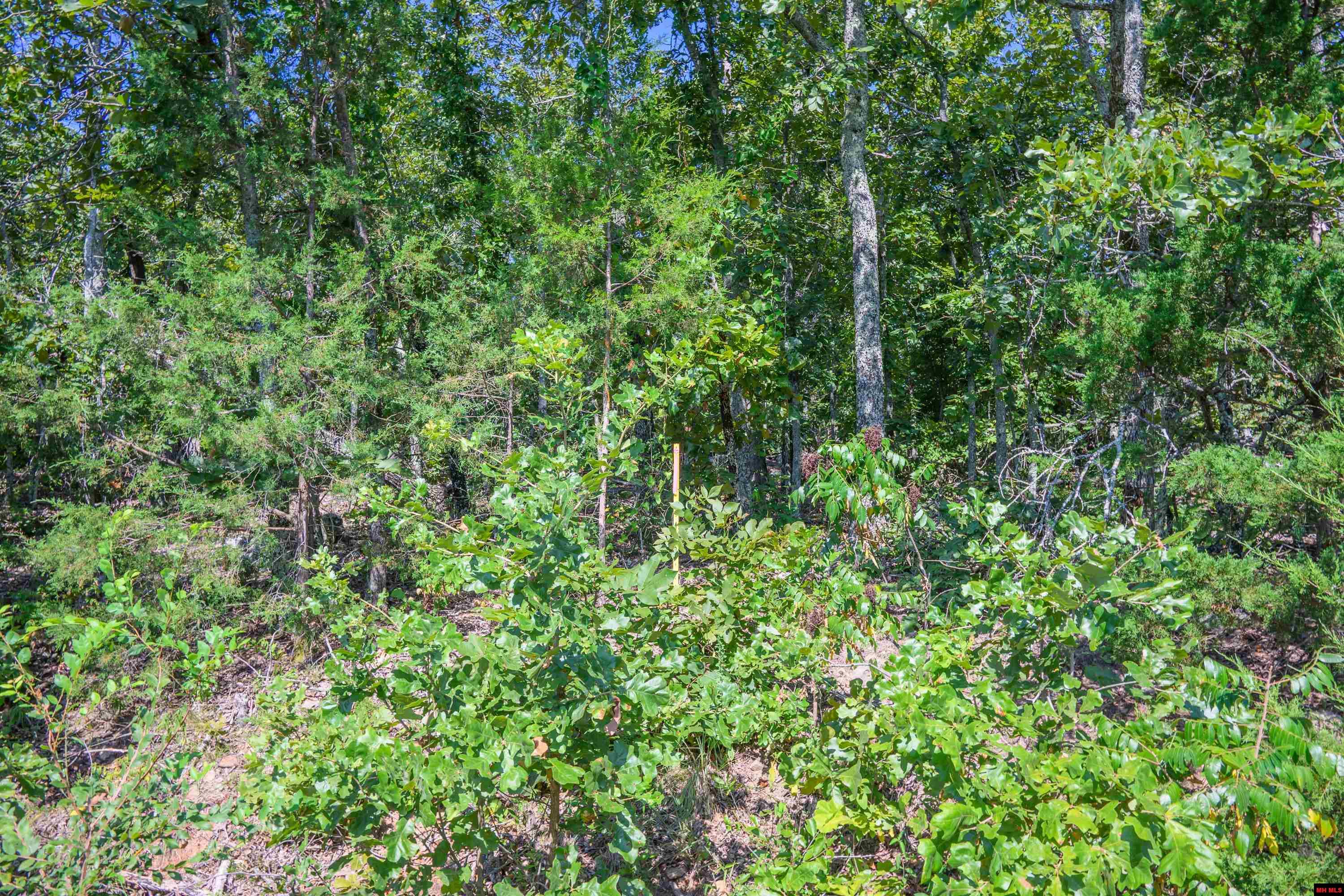 010-00817-000 Wick Road