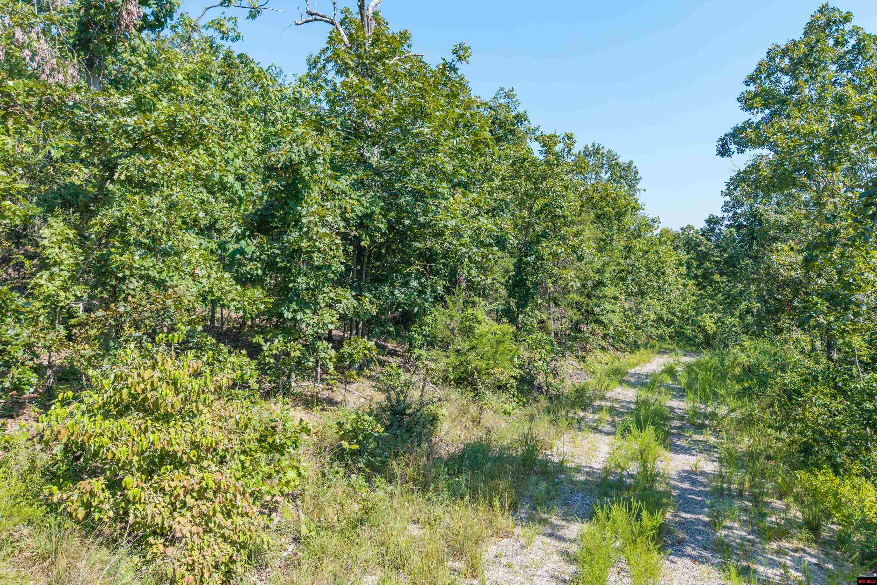 010-00817-000 Wick Road