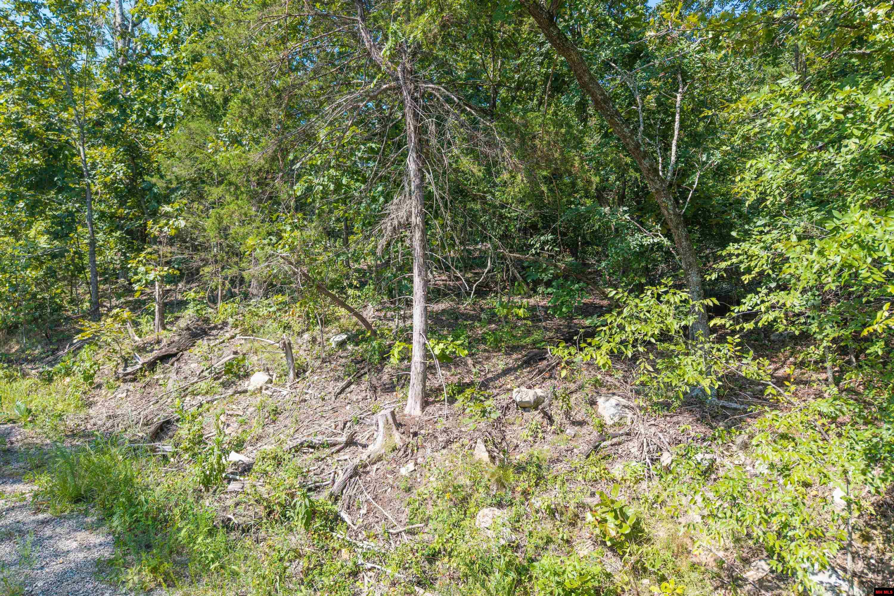 010-00817-000 Wick Road