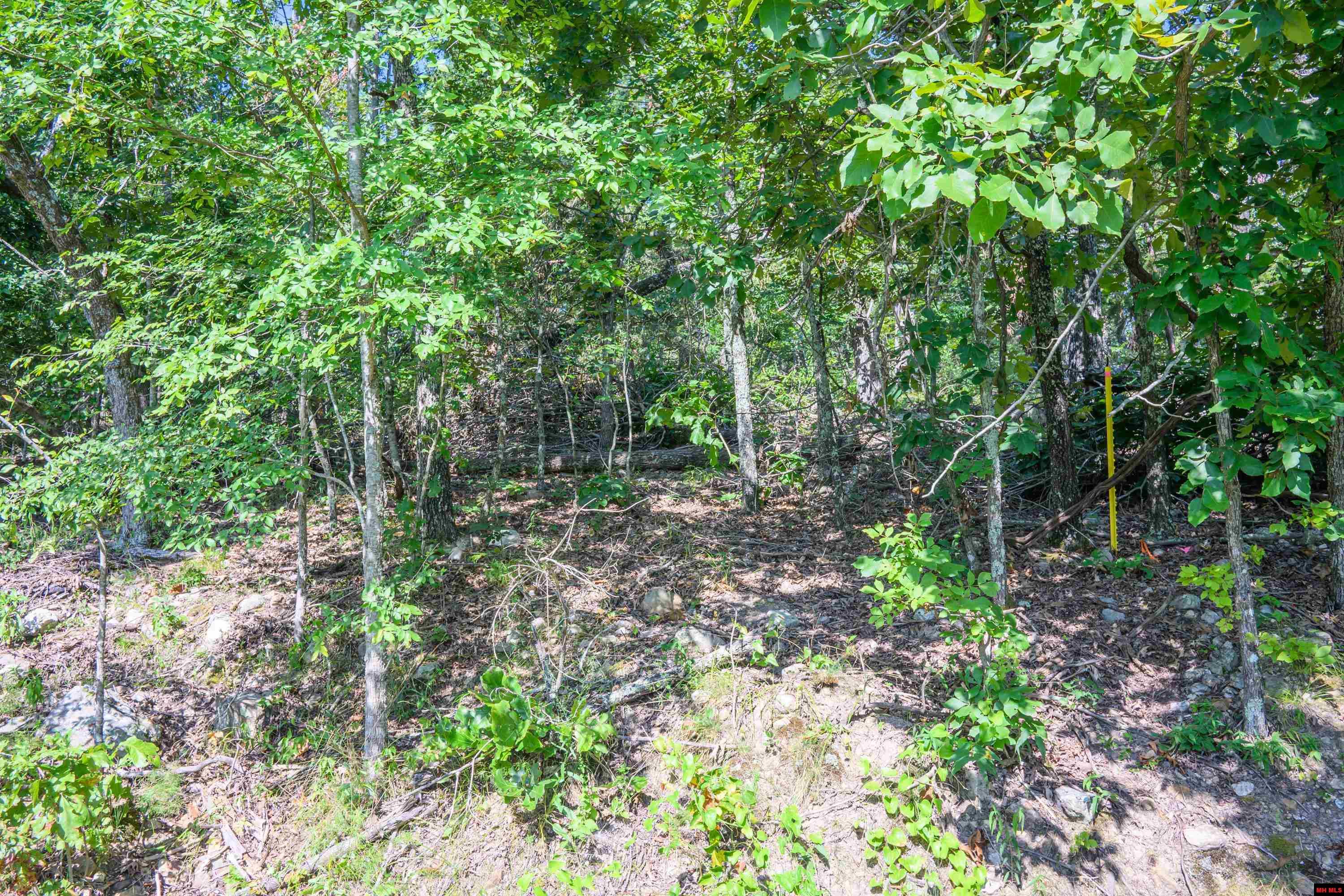 010-00817-000 Wick Road