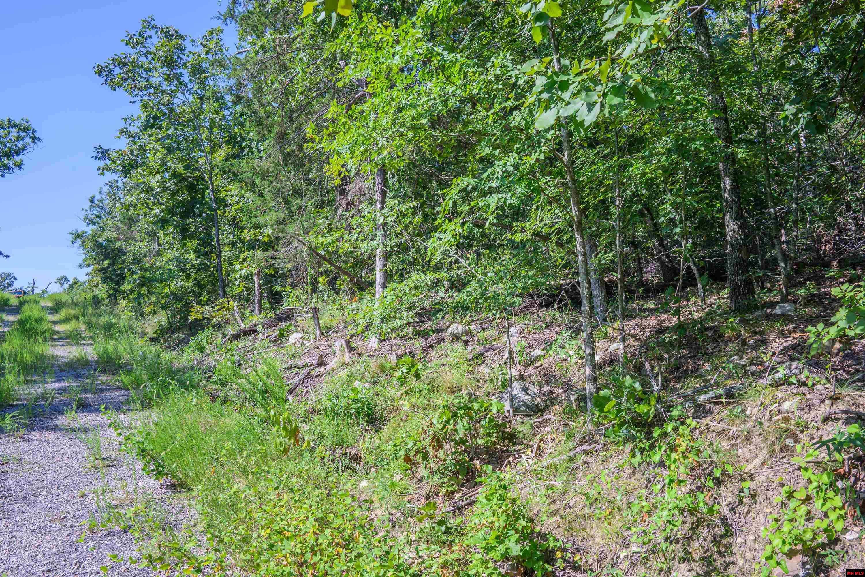 010-00817-000 Wick Road