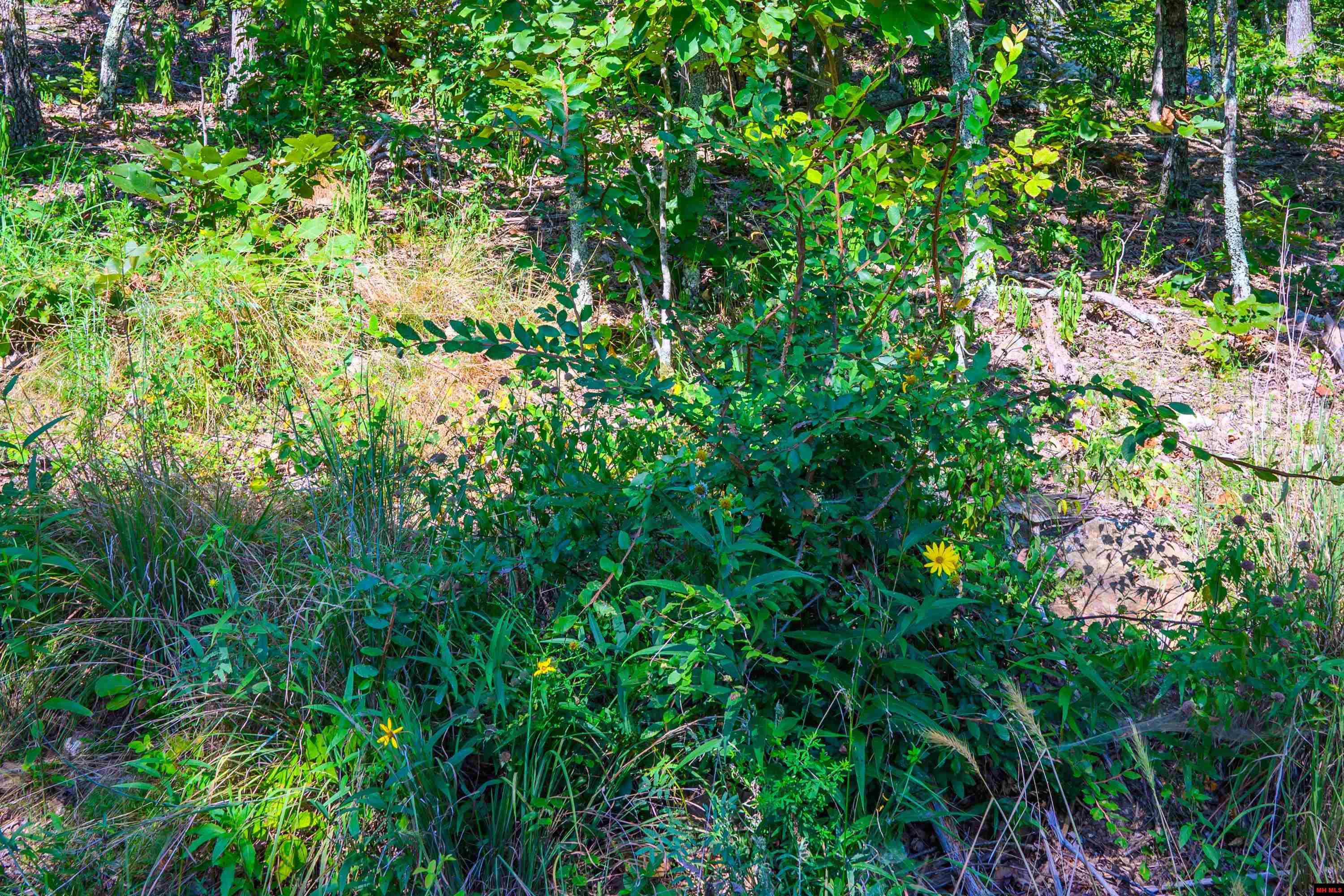 010-00817-000 Wick Road