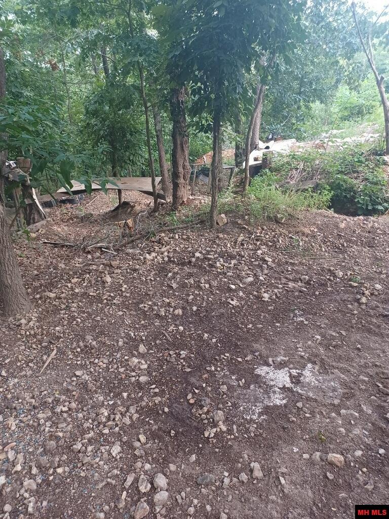 1267 Brushy Fork Road