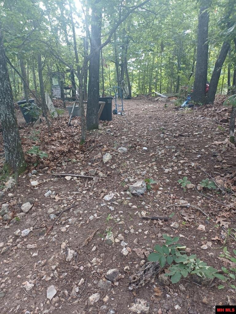 1267 Brushy Fork Road