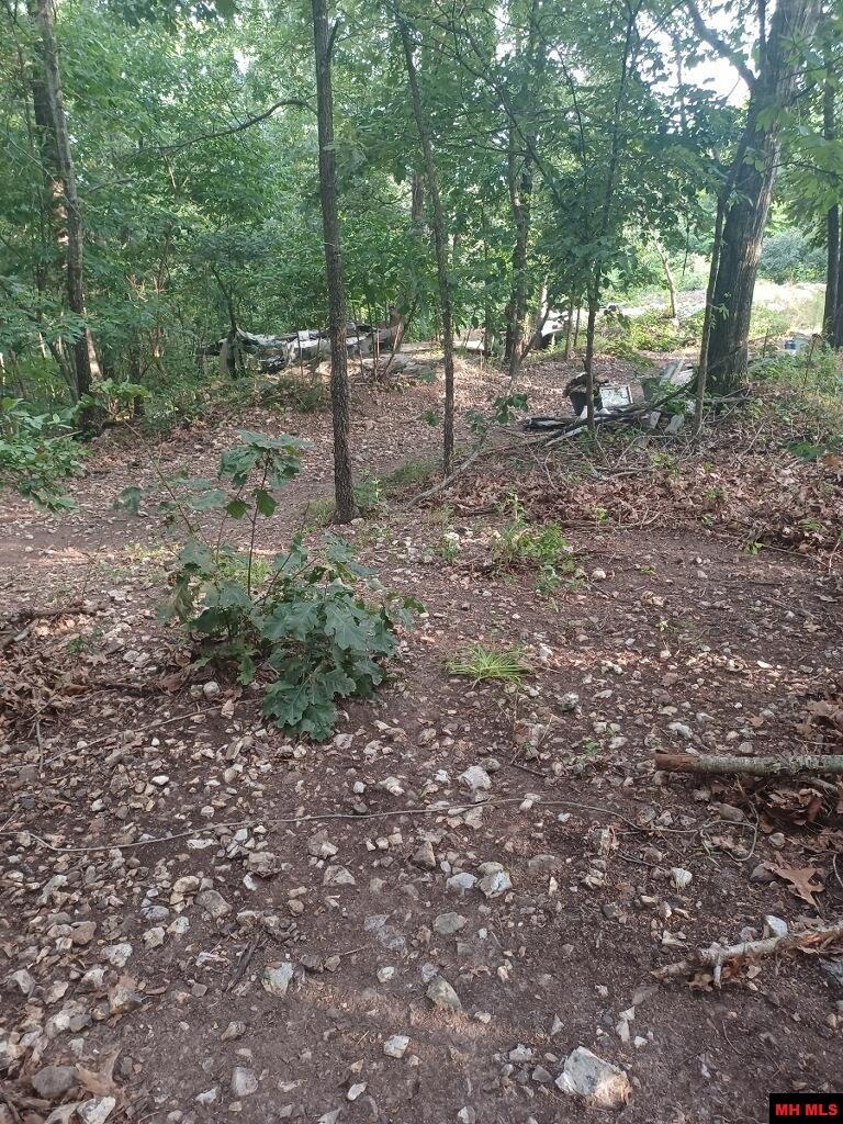 1267 Brushy Fork Road