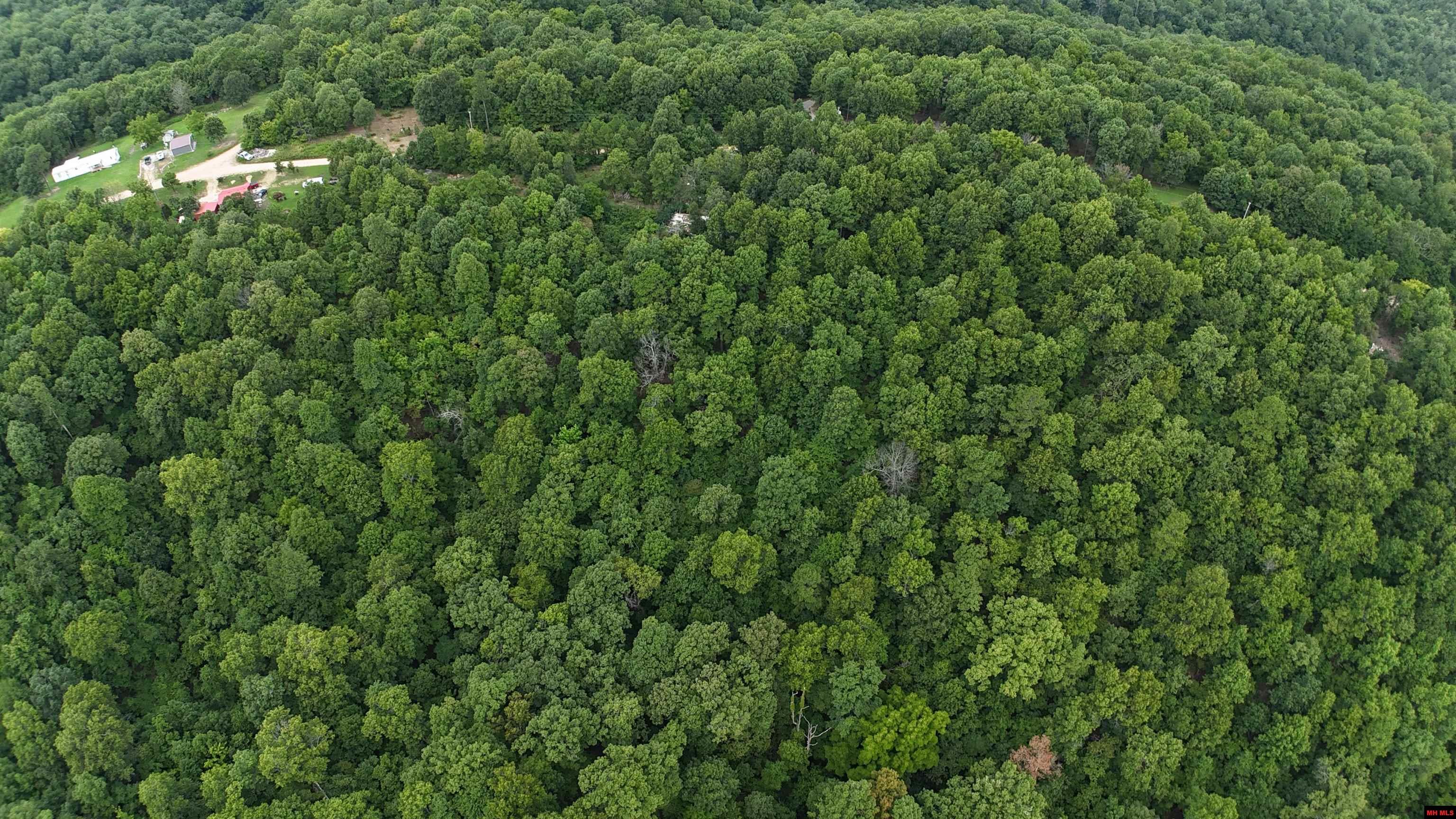 1267 Brushy Fork Road