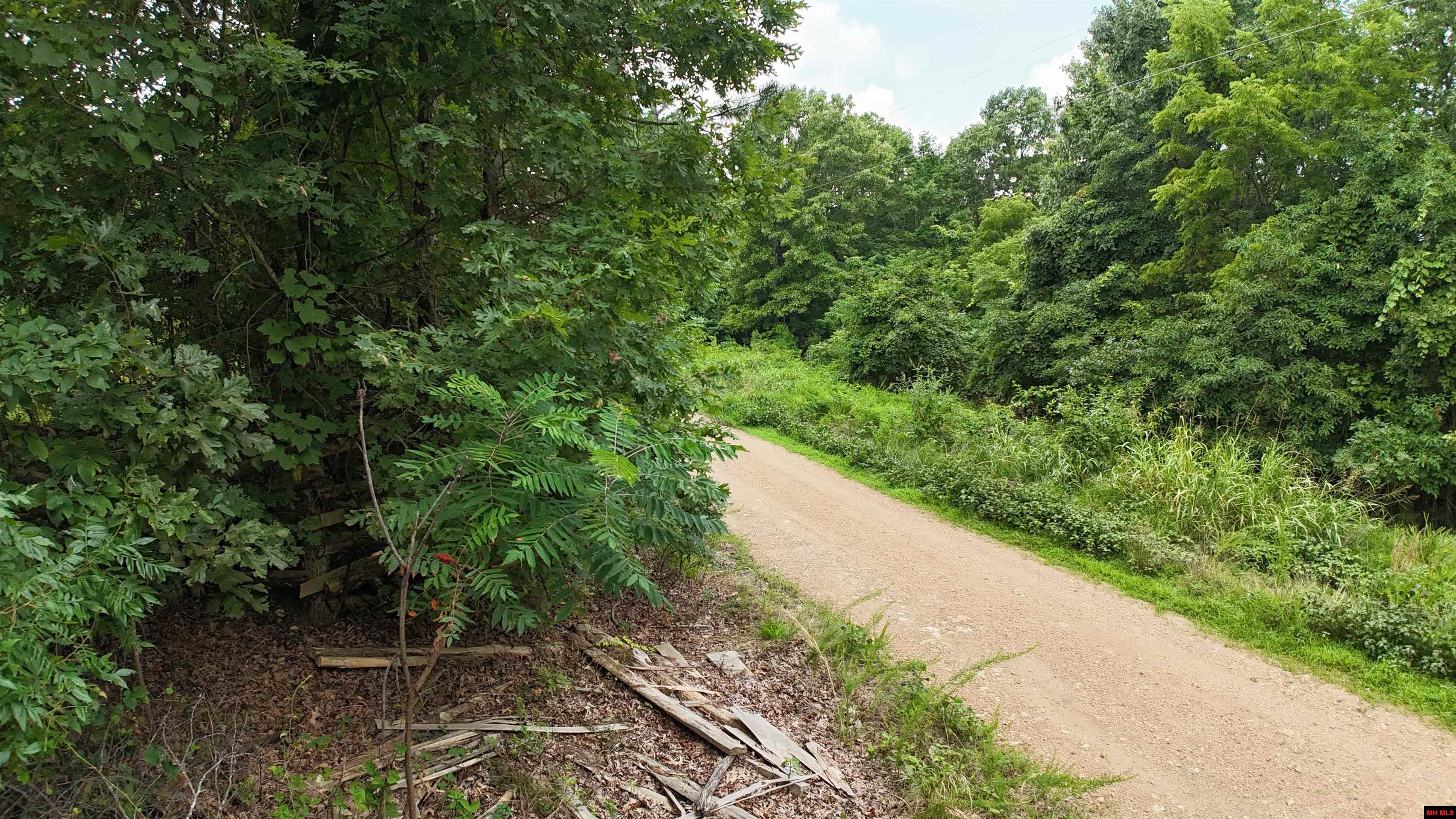 1267 Brushy Fork Road