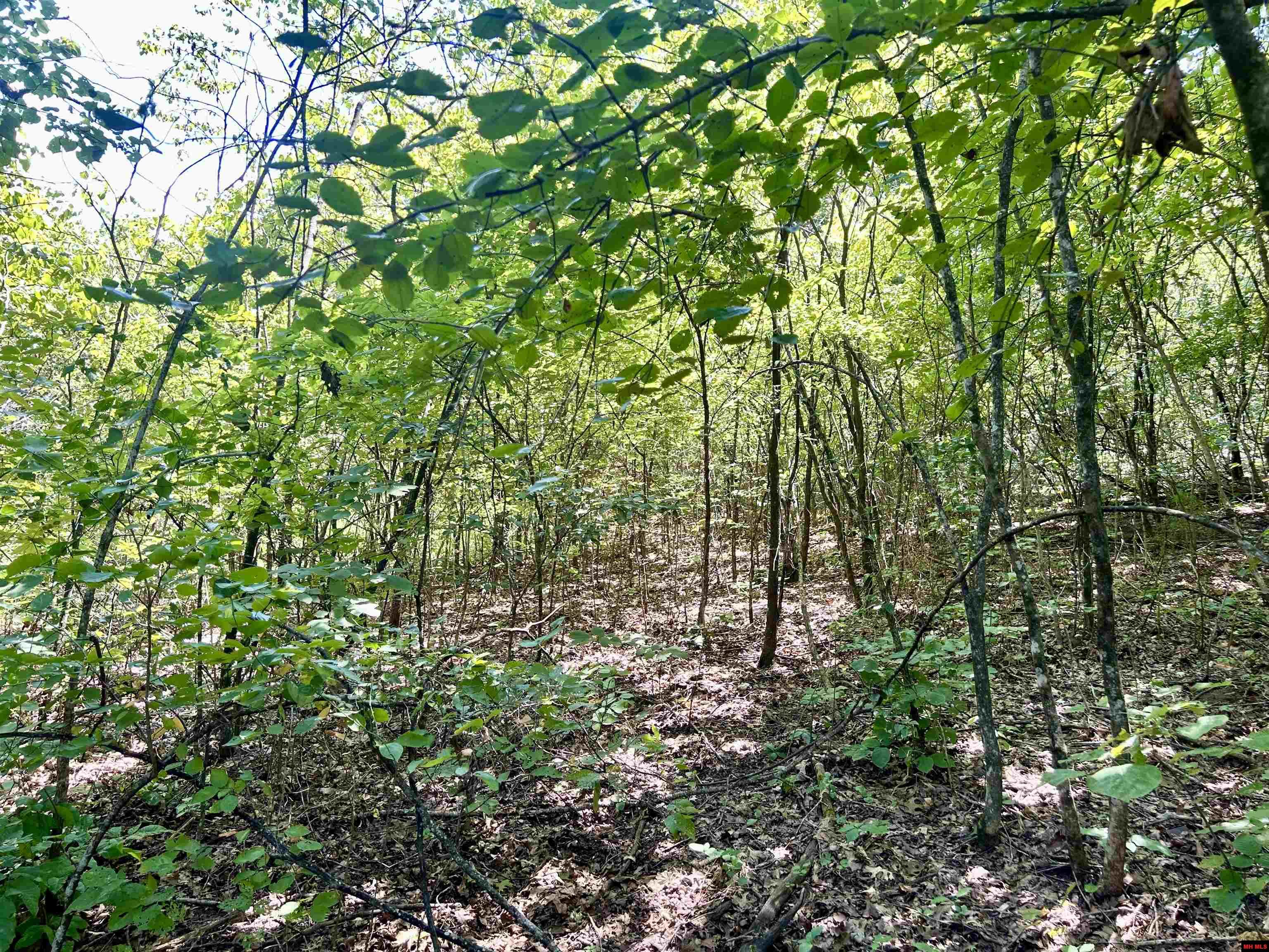 001-04468-000 Cr 606