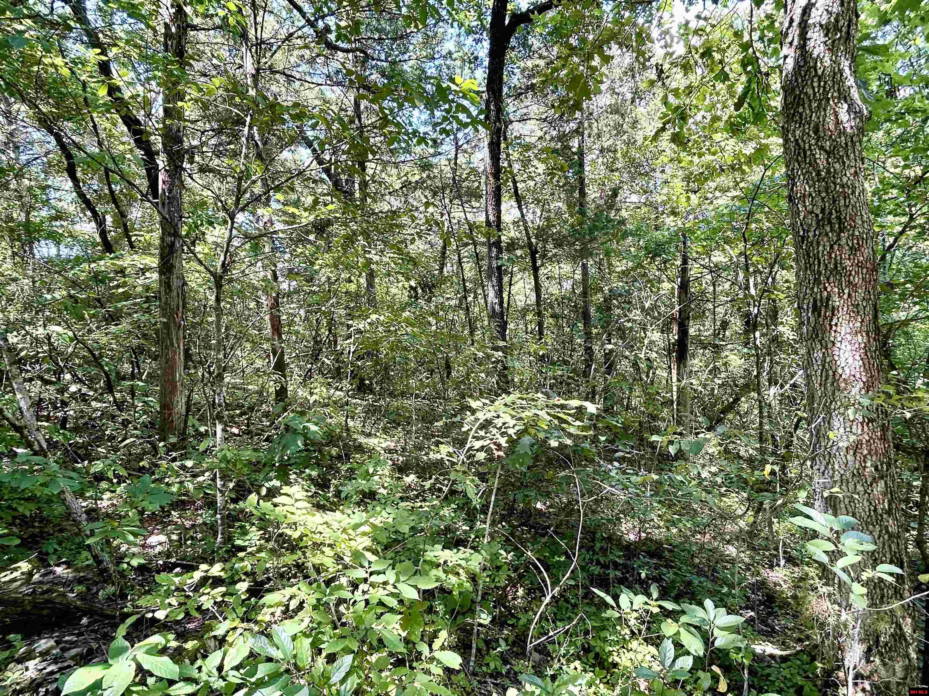 001-04468-000 Cr 606