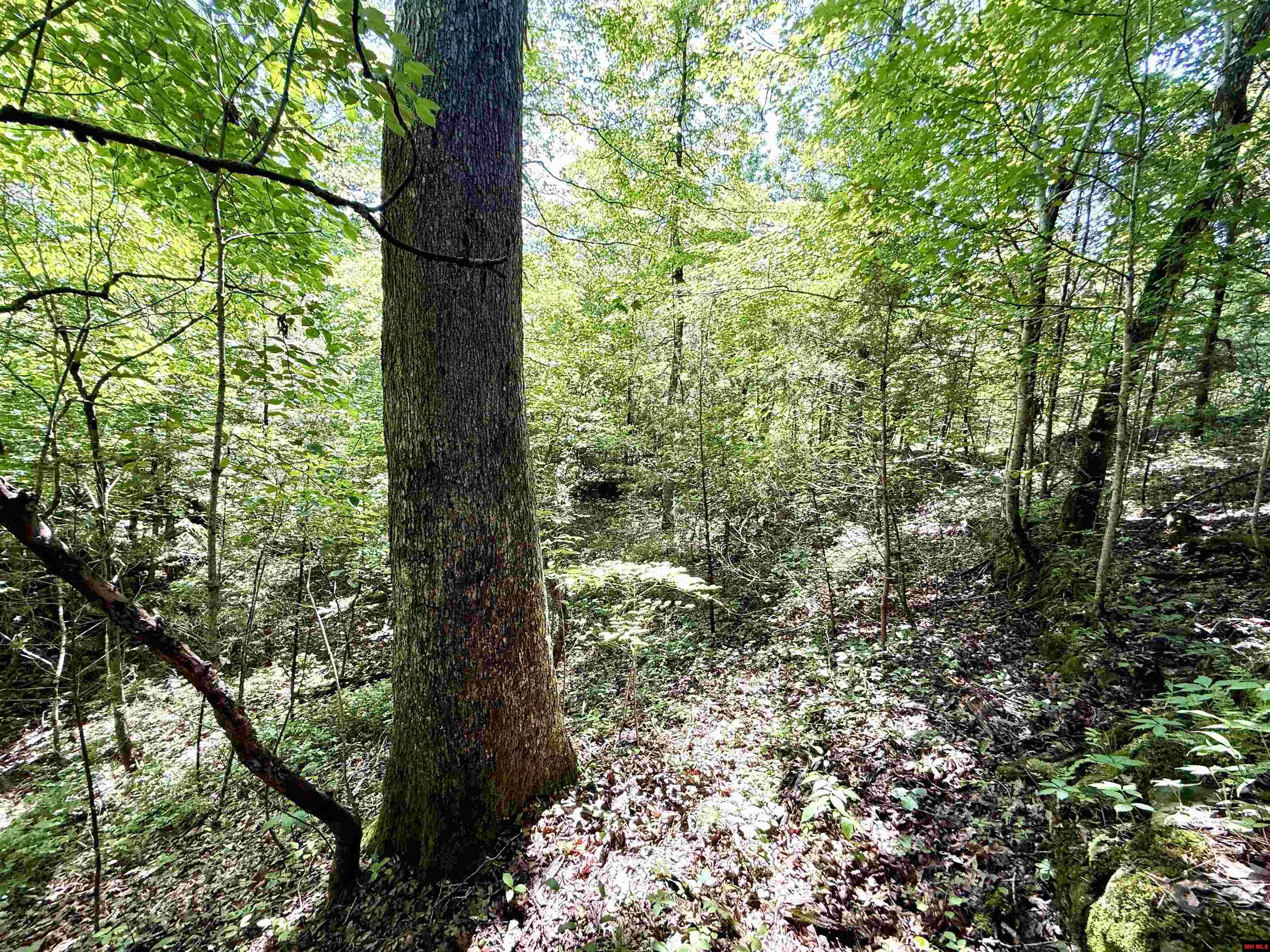 001-01049-000 Cr 128