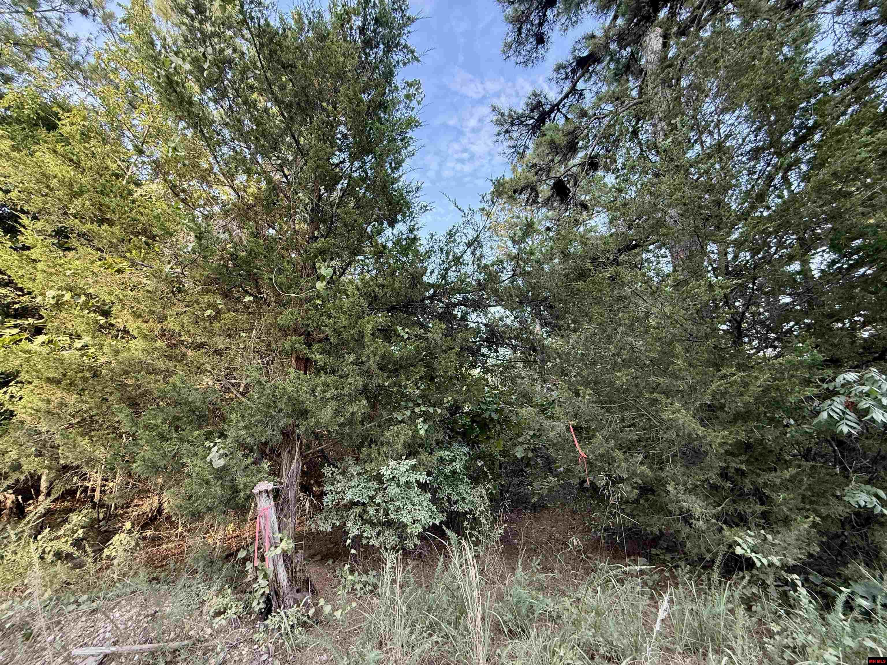 001-01049-000 Cr 128