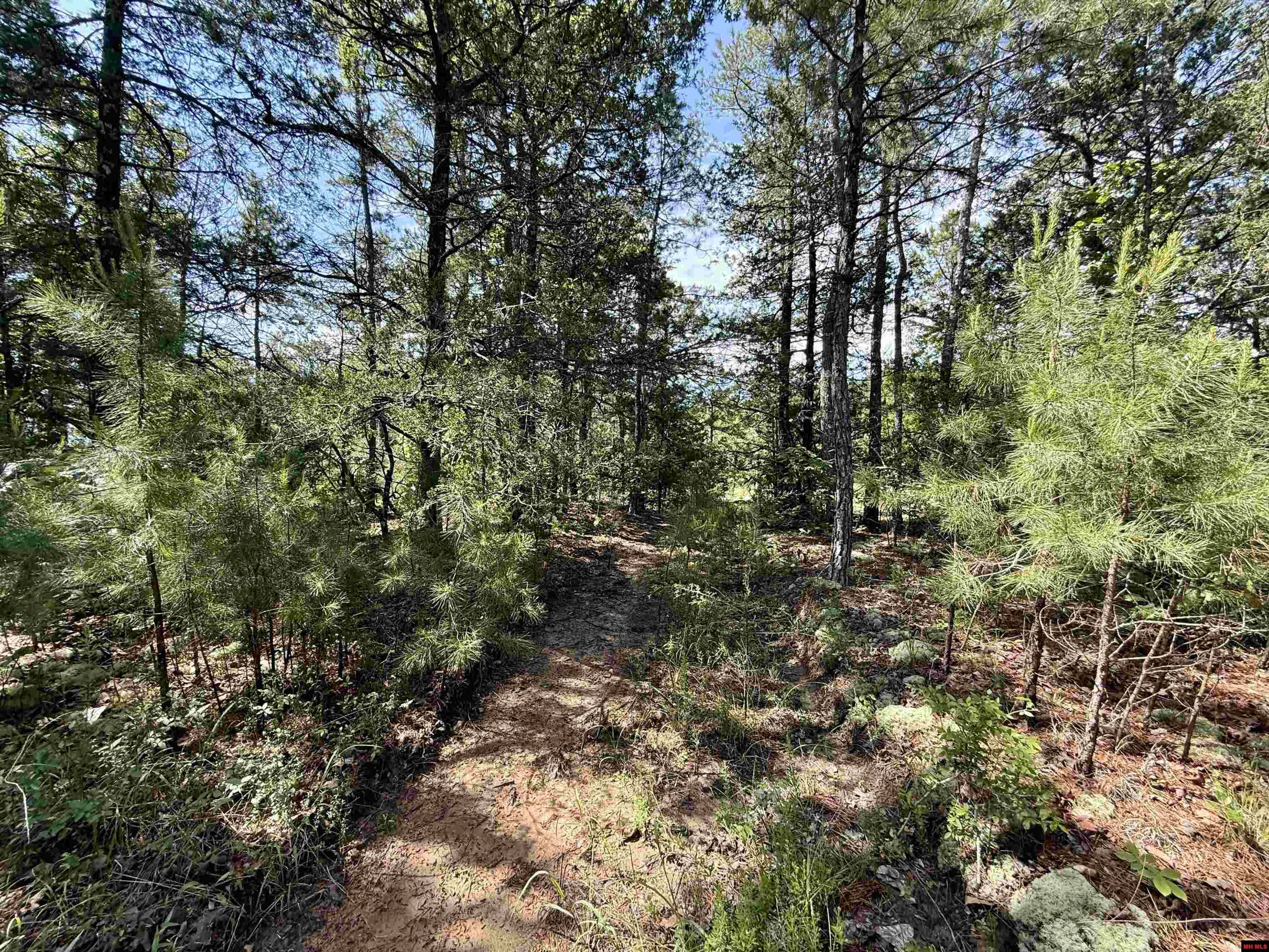 001-01049-000 Cr 128