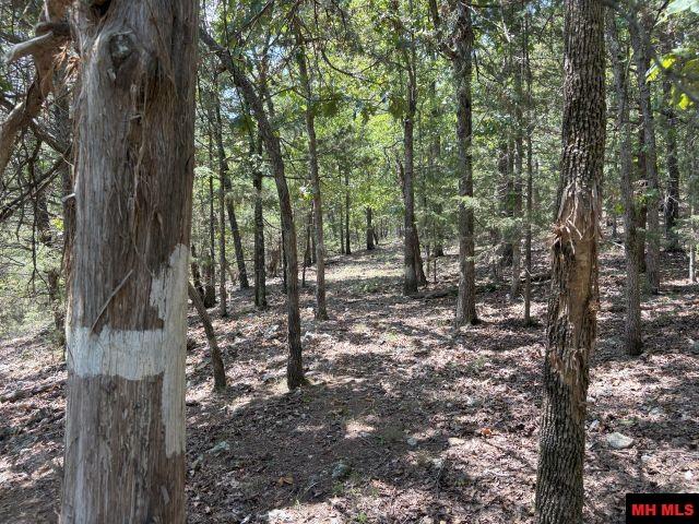 001-05823-000 Mc 8117