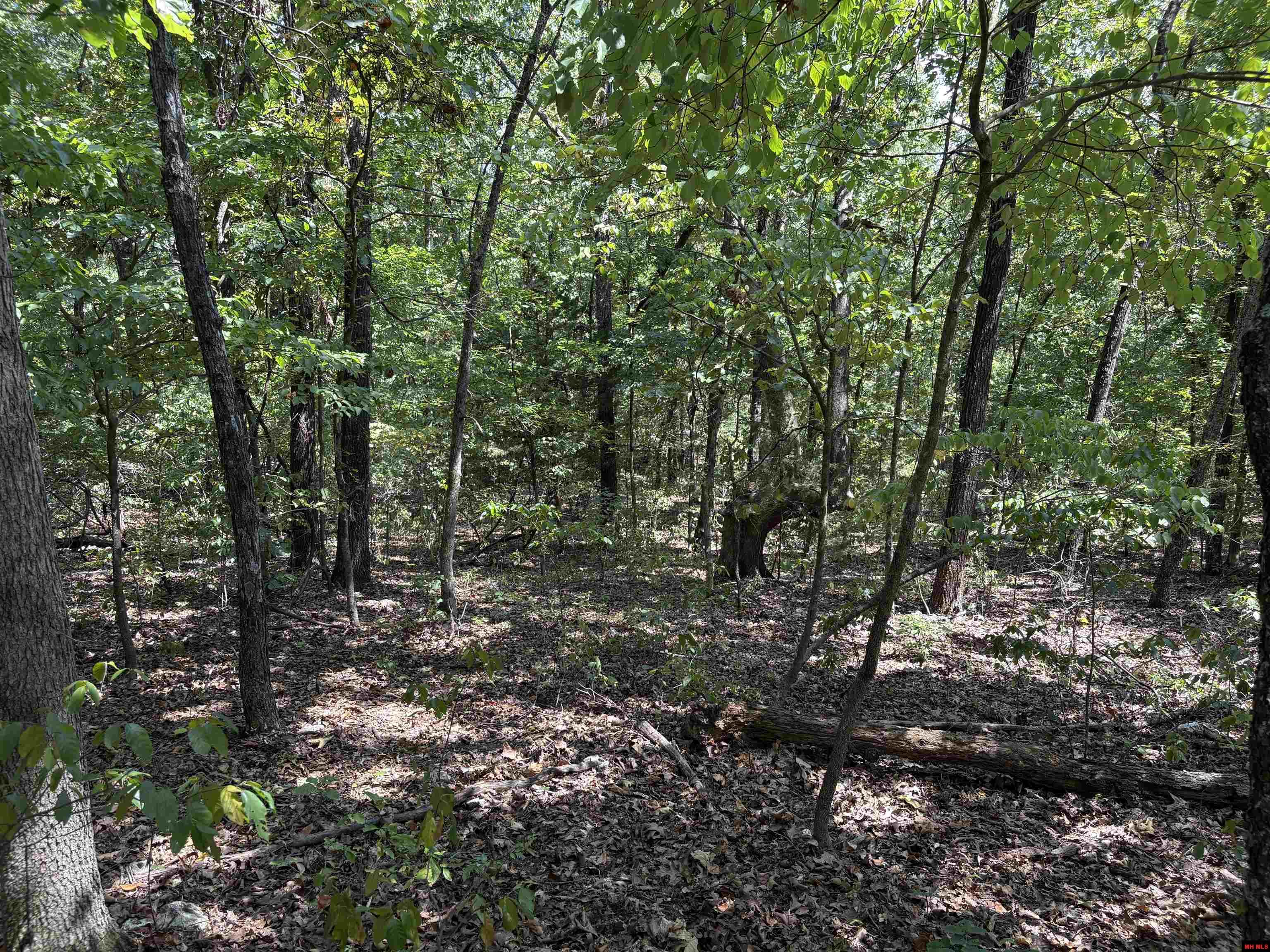 001-05823-000 Mc 8117