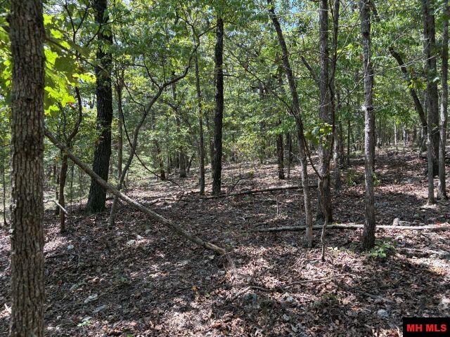 001-05823-000 Mc 8117