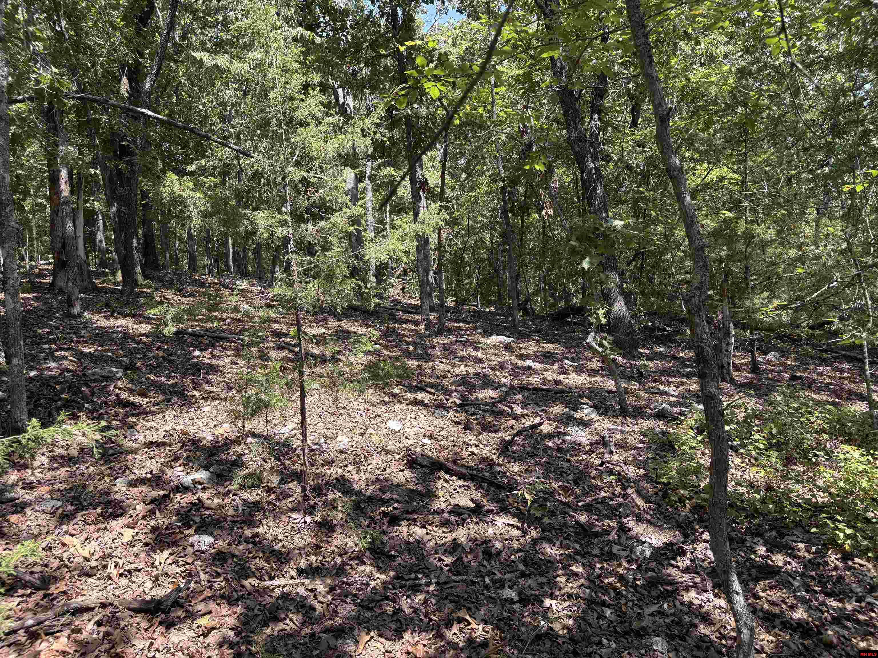 001-05823-000 Mc 8117