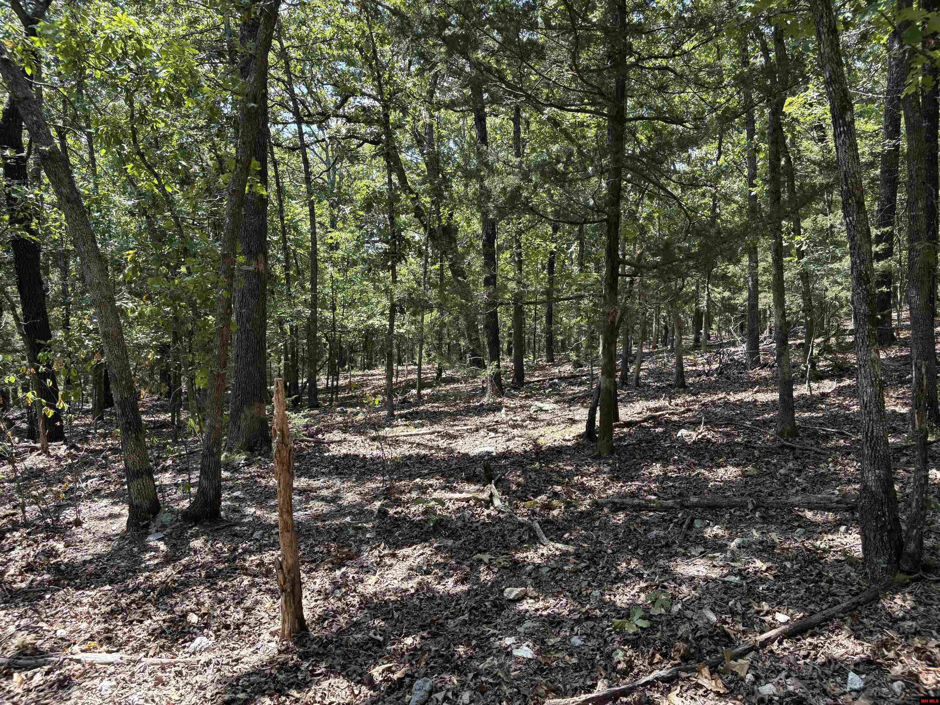 001-05823-000 Mc 8117