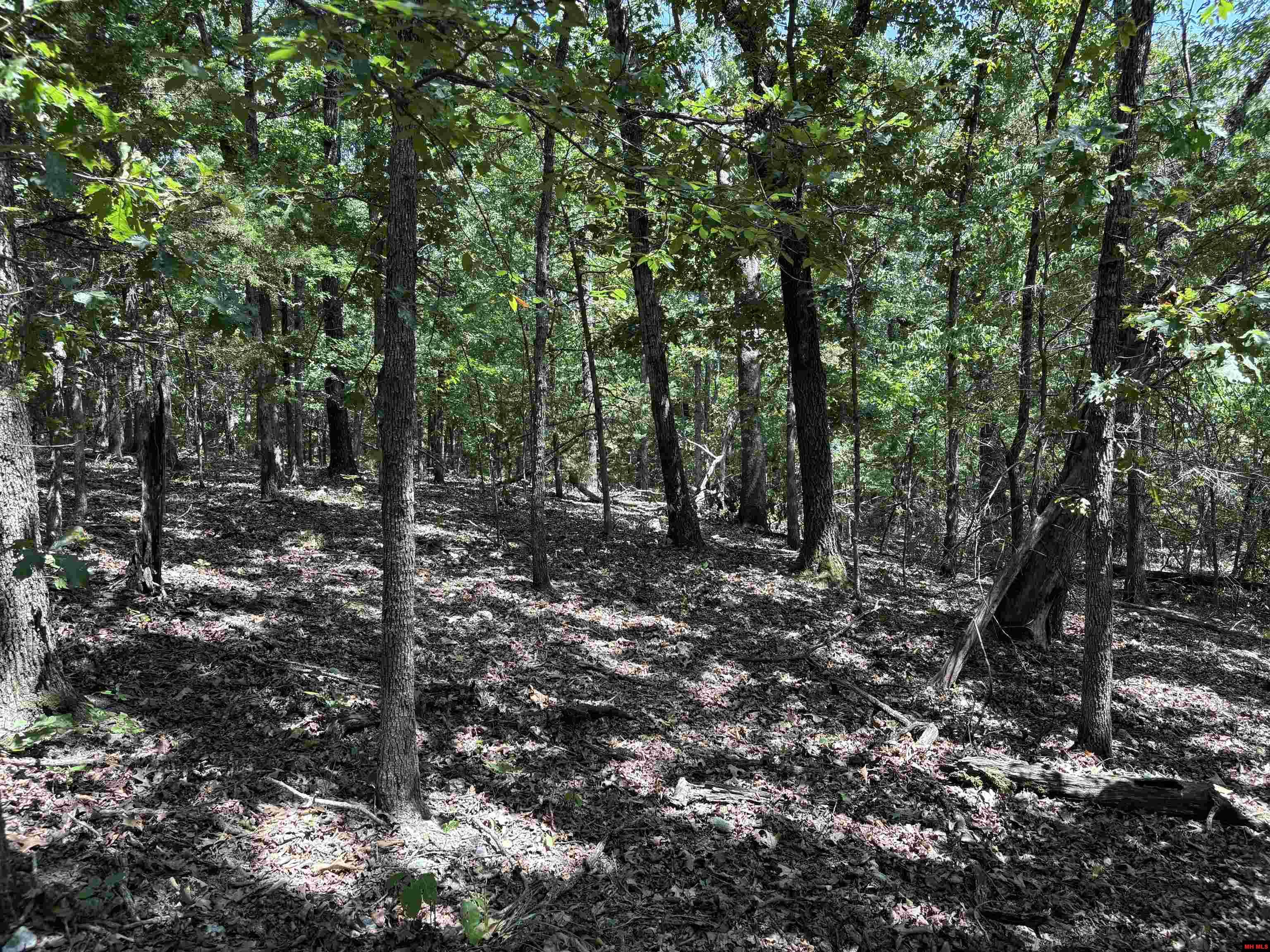 001-05823-000 Mc 8117