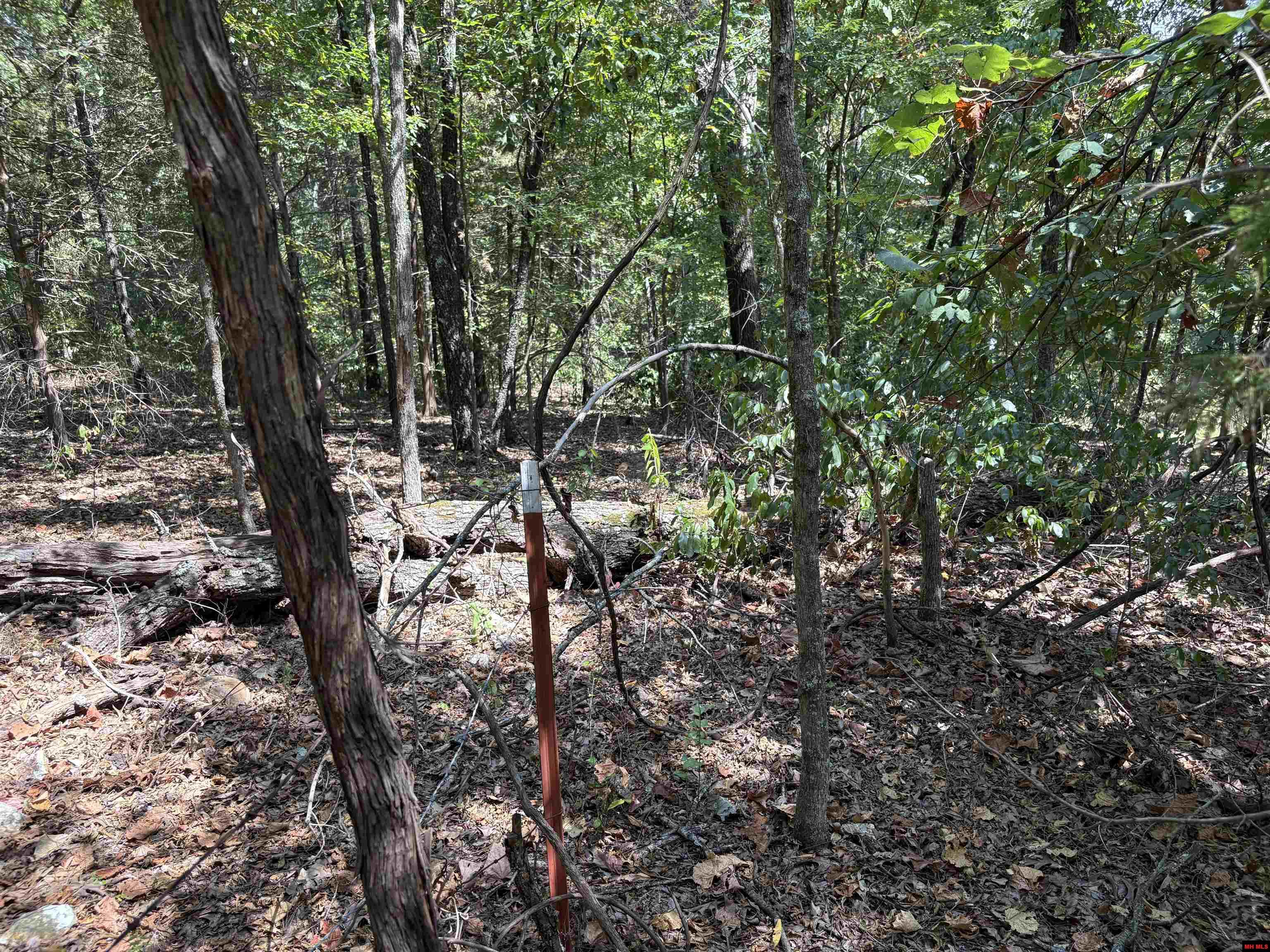 001-05823-000 Mc 8117