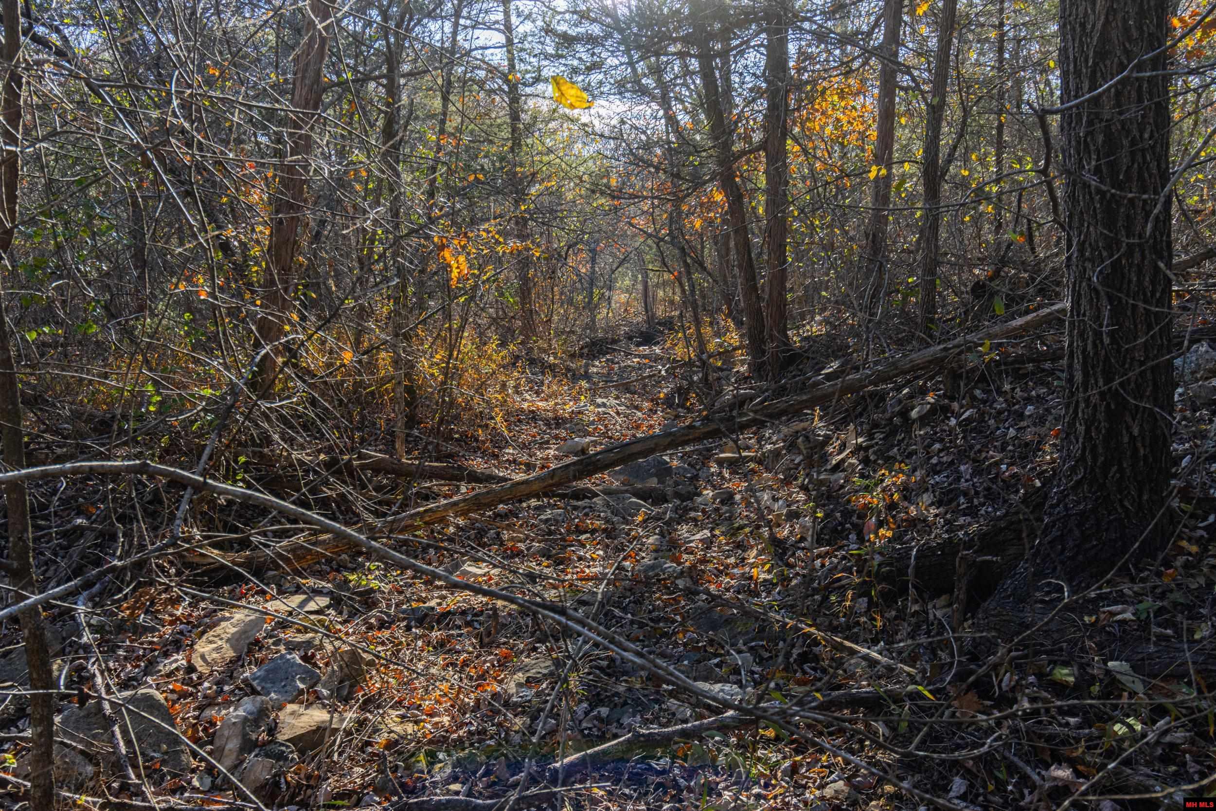 001-70421-002 Providence Ridge Road