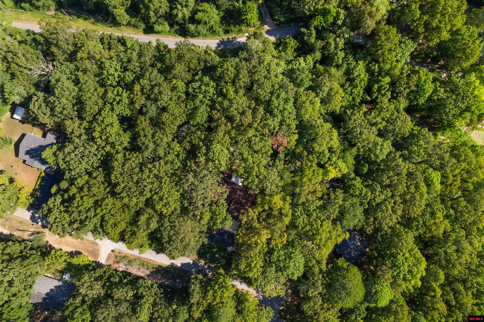 135 Blue Cedar Drive