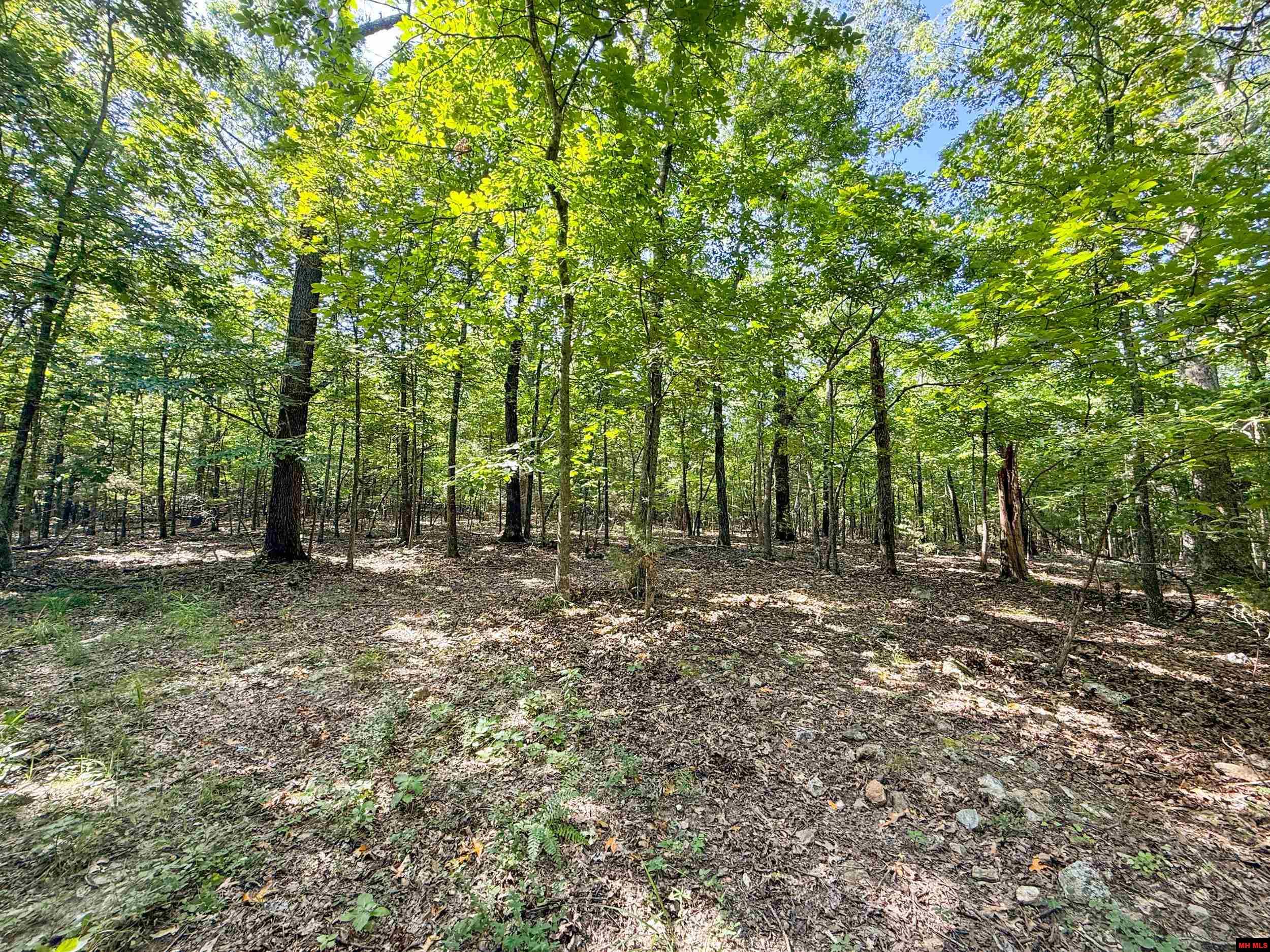 328 & 361 Rim Shoals Lane