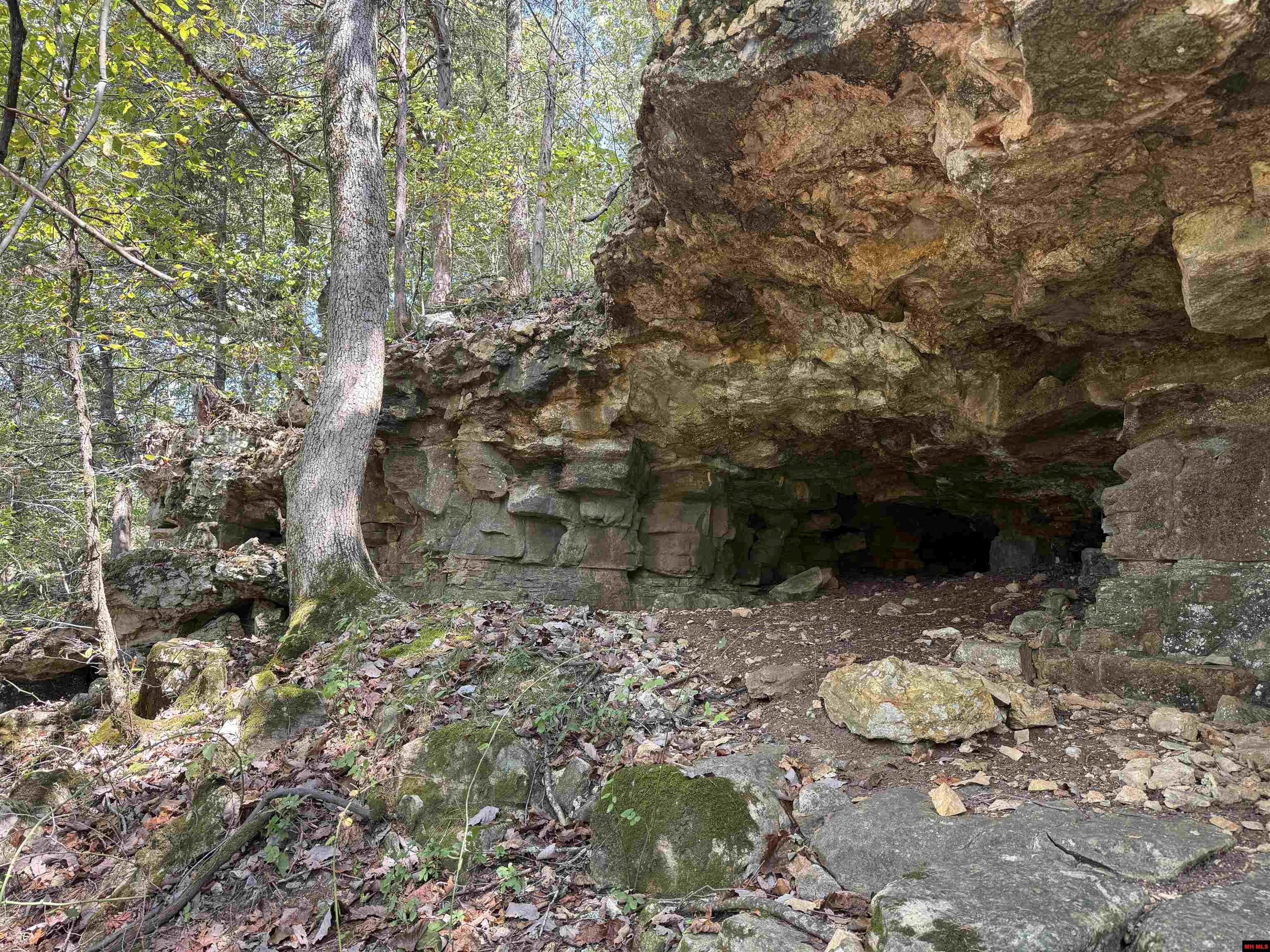 328 & 361 Rim Shoals Lane