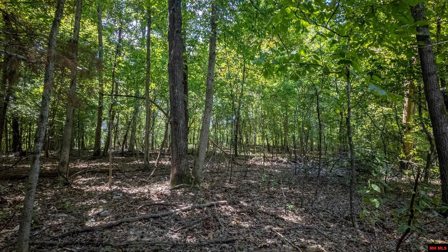 Lot 10 Riverbend Drive