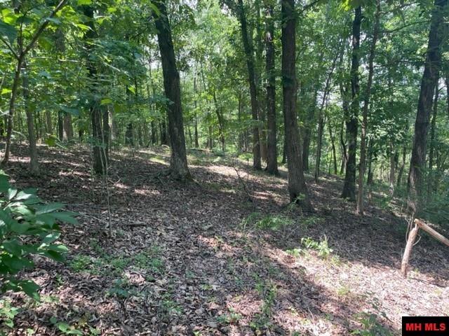 3721 Thousand Oaks Drive