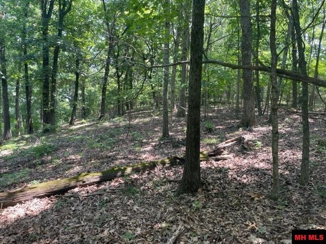 3721 Thousand Oaks Drive