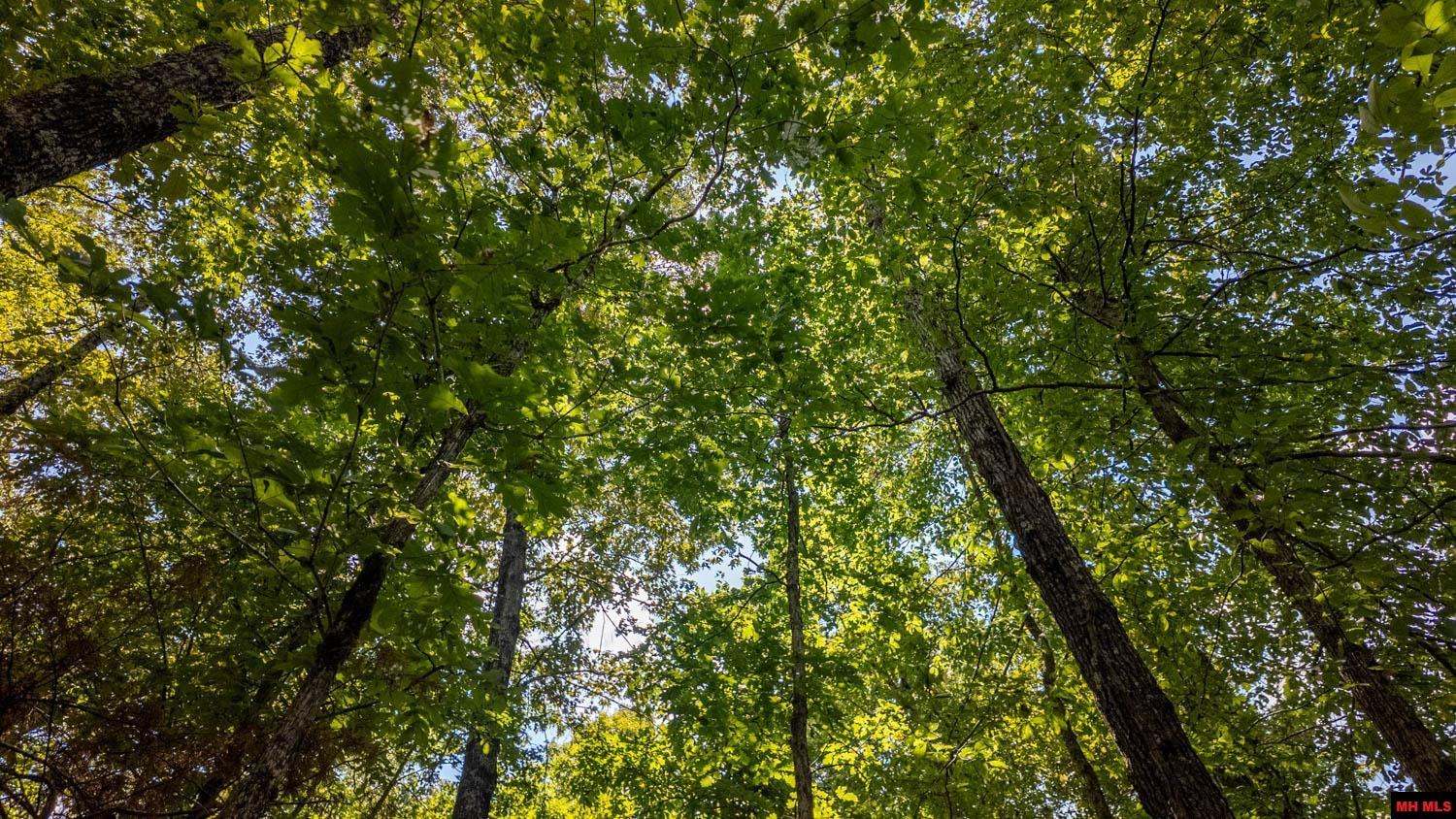 Lots 17-19 Riverbend Drive